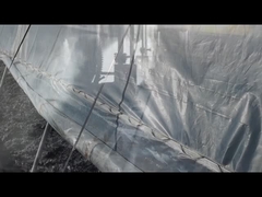 पोटेशियम ह्यूमेट/सोडियम ह्यूमेट ग्रैन्यूल्स